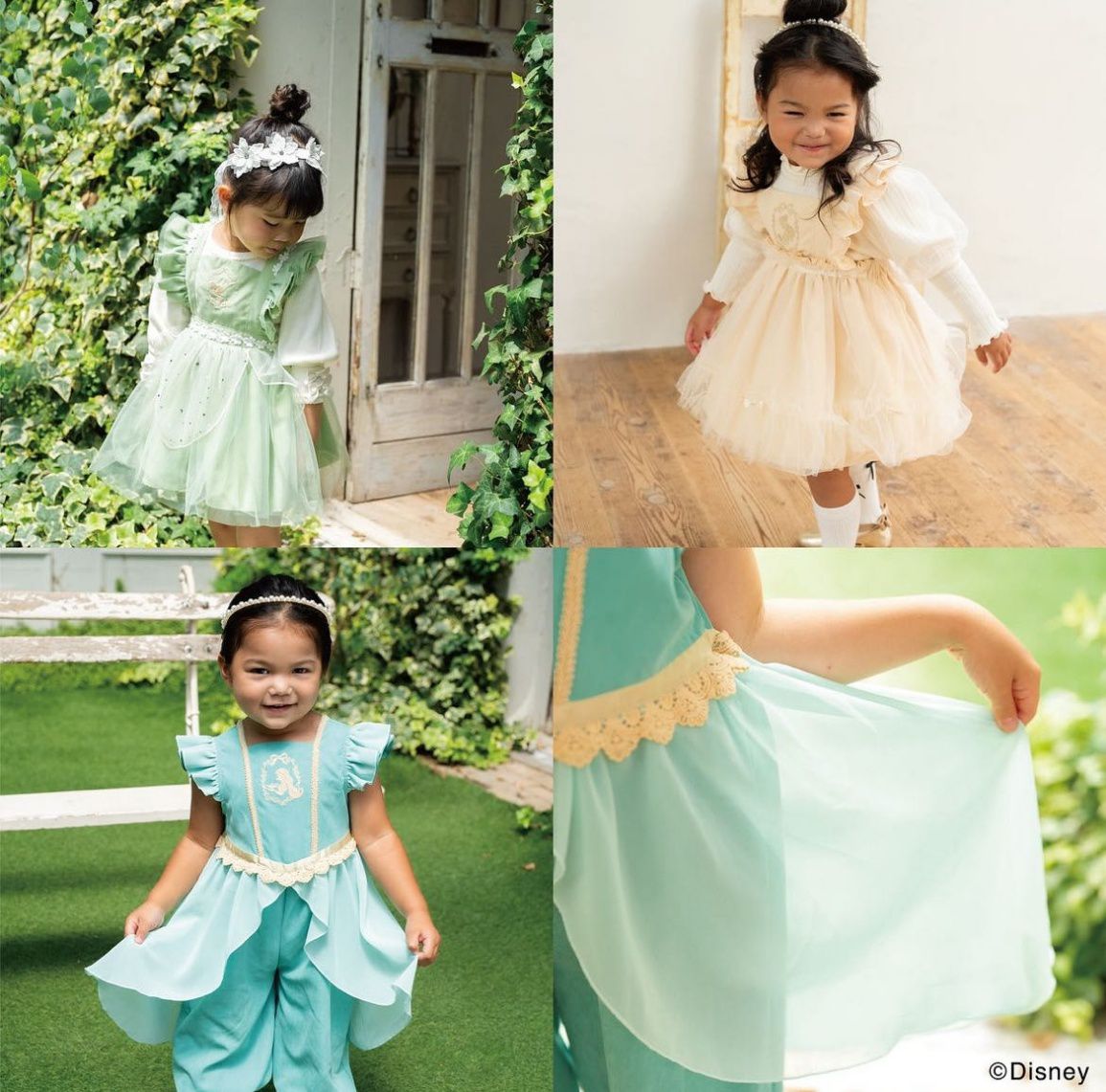 🏷️Pre-order Cottoli 📦Delivery date is early December⏰Custom order at any time